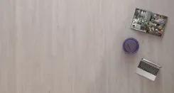 Дуб Вис 2