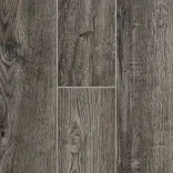 Дуб Капри 5