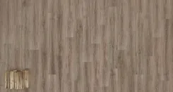 Дуб Джонсон 2