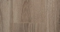 Дуб Джонсон 3