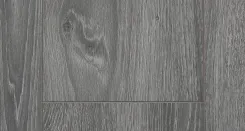 Дуб Гвинея 3