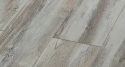 Дуб Форвард 4