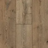 Дуб Вермонт 5