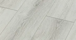 Austin Oak 4