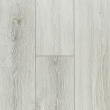 Austin Oak 5