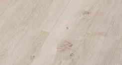 Erie Oak 4