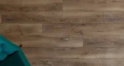 Дуб Берлин 2