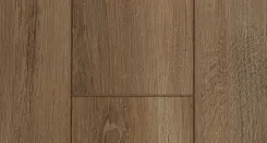 Дуб Берлин 3