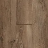 Дуб Берлин 5