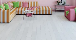 Сосна Дакота 1