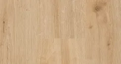 Ройбуш 2