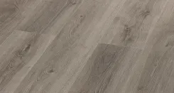 Дуб Ботега 1