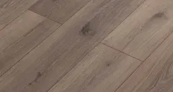 Дуб Дакар 1