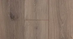 Дуб Дакар 2