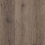 Дуб Дакар 3