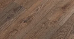 Дуб Браззавиль 2