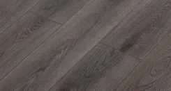 Дуб Кейптаун 1