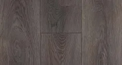Дуб Кейптаун 2