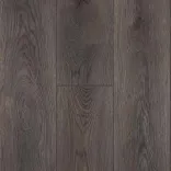 Дуб Кейптаун 3
