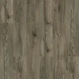 Дуб Делавэр 1