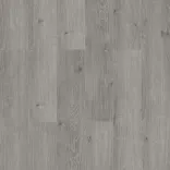Дуб Нил 1