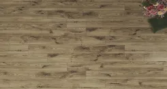Archer Oak 1