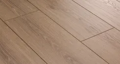 Дуб Тенденс 3