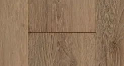 Дуб Тенденс 4