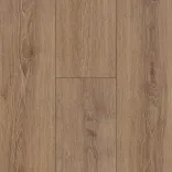 Дуб Тенденс 5