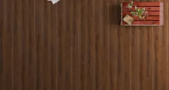 Дуб Мейджер 2