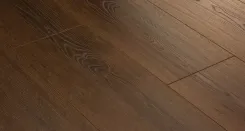 Дуб Мейджер 3